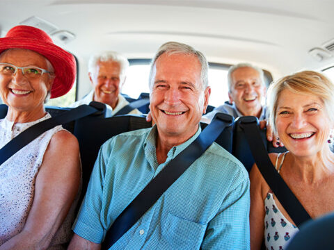 We only do small private tours. Vans can fit up to 8 people very comfortably.