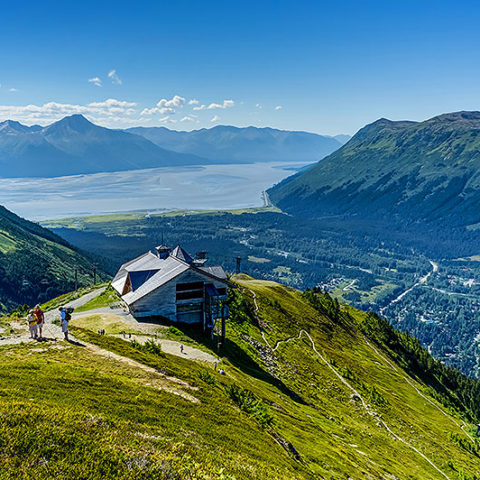 In Girdwood, catch the Alyeska Tramway and explore the Mountain.