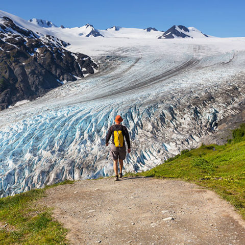 Exit Glacier is an easy hike and popular stop. Located 20-30 minutes north of Seward.