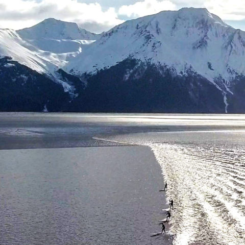 Catch surfers ride the bore tide in the Turnagain Arm. Home to the world's second largest high & low tide differences.